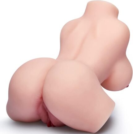 Spine Torso