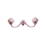 Ueros Clamps