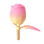 Pink Rose