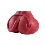 Meru Torso - Image 7
